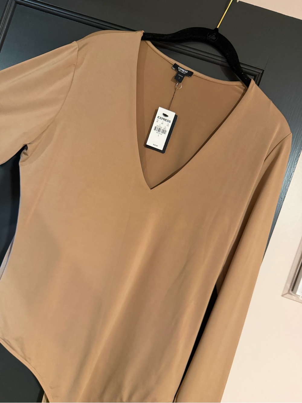 Express Tan V-Neck Long Sleeve Bodysuit